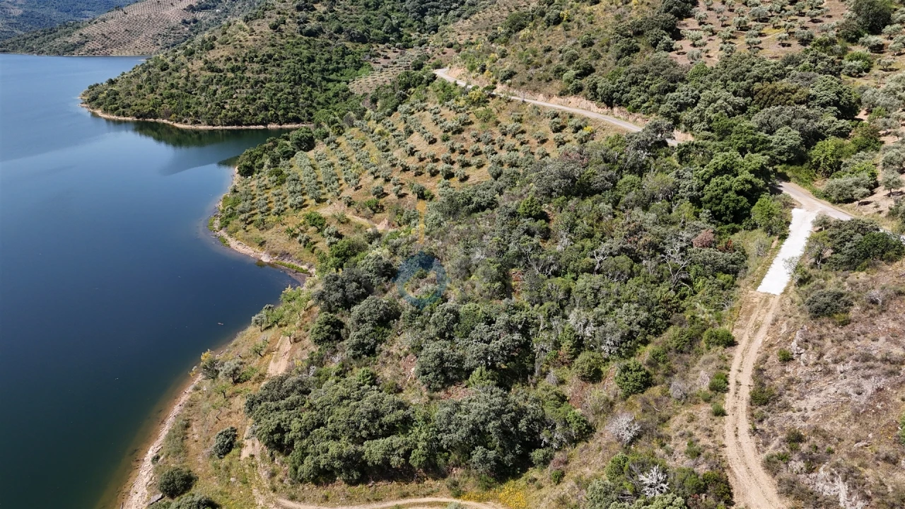 Terreno Agricola ou Rústico para Venda em Vilar Chão Foto 5