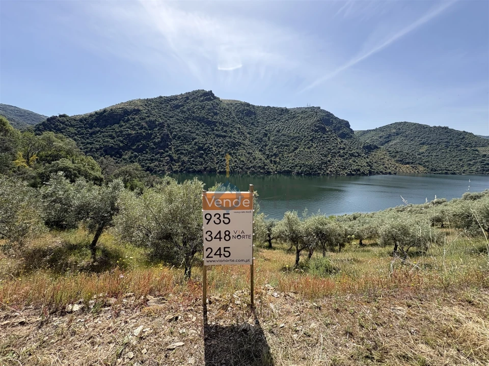 Terreno Agricola ou Rústico para Venda em Vilar Chão Foto 1