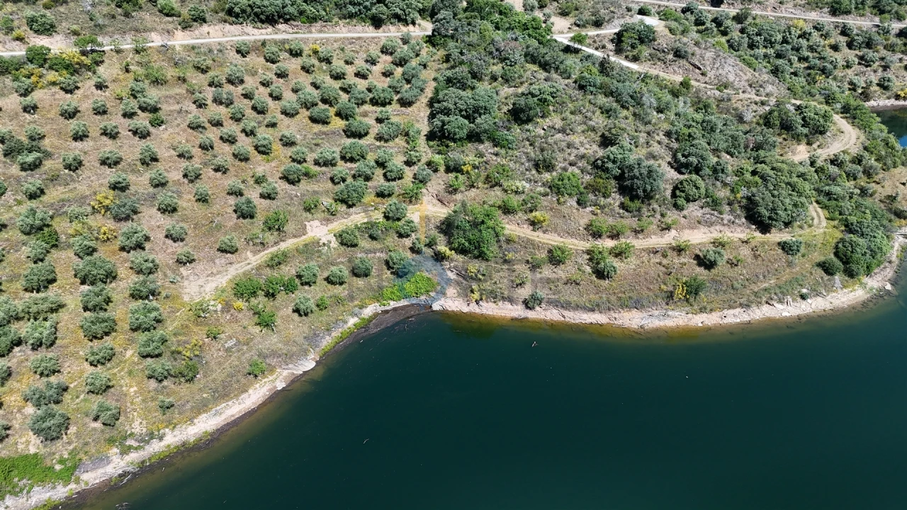 Terreno Agricola ou Rústico para Venda em Vilar Chão Foto 8