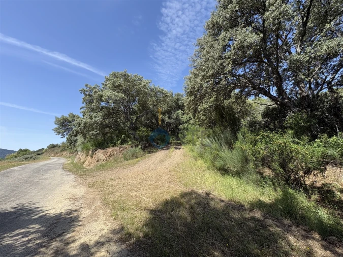 Terreno Agricola ou Rústico para Venda em Vilar Chão Foto 18