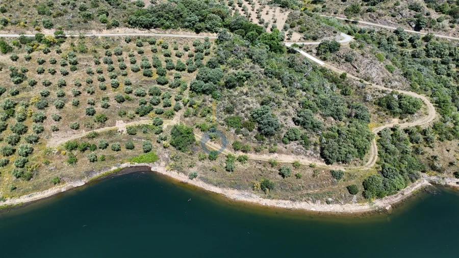 Terreno Agricola ou Rústico para Venda em Vilar Chão Foto 4