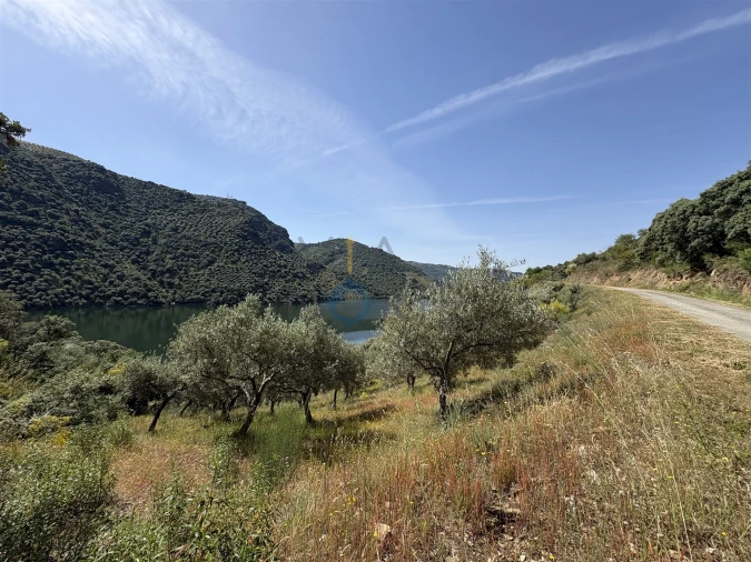 Terreno Agricola ou Rústico para Venda em Vilar Chão Foto 20