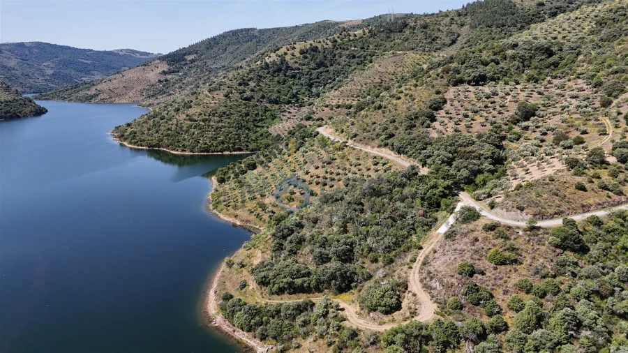 Terreno Agricola ou Rústico para Venda em Vilar Chão Foto 3