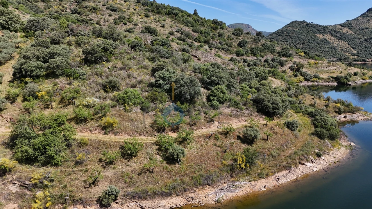 Terreno Agricola ou Rústico para Venda em Vilar Chão Foto 10