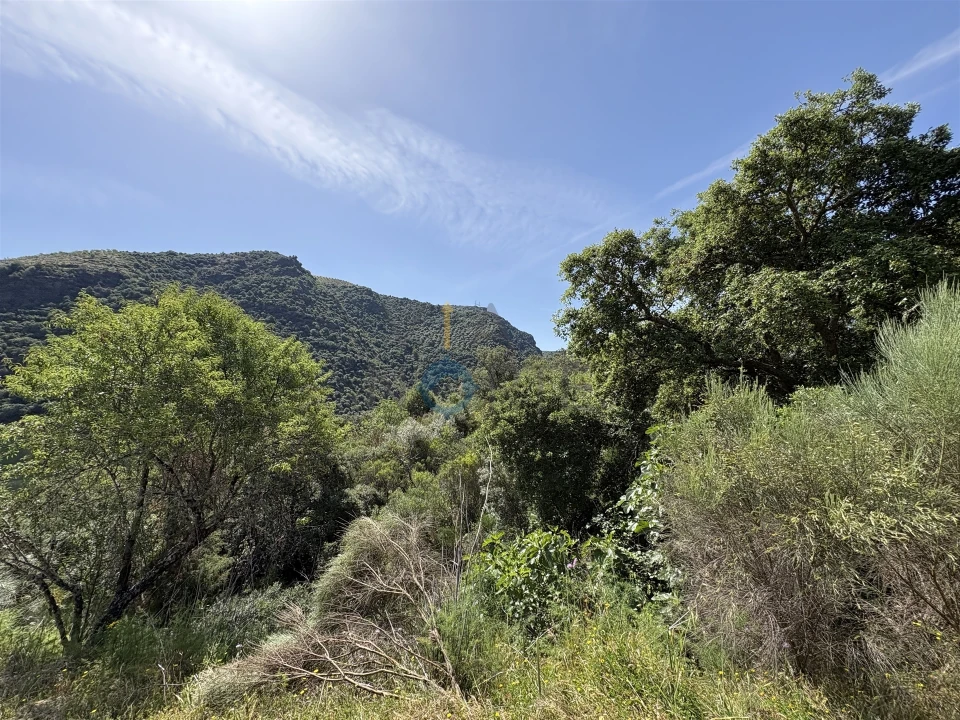 Terreno Agricola ou Rústico para Venda em Vilar Chão Foto 17