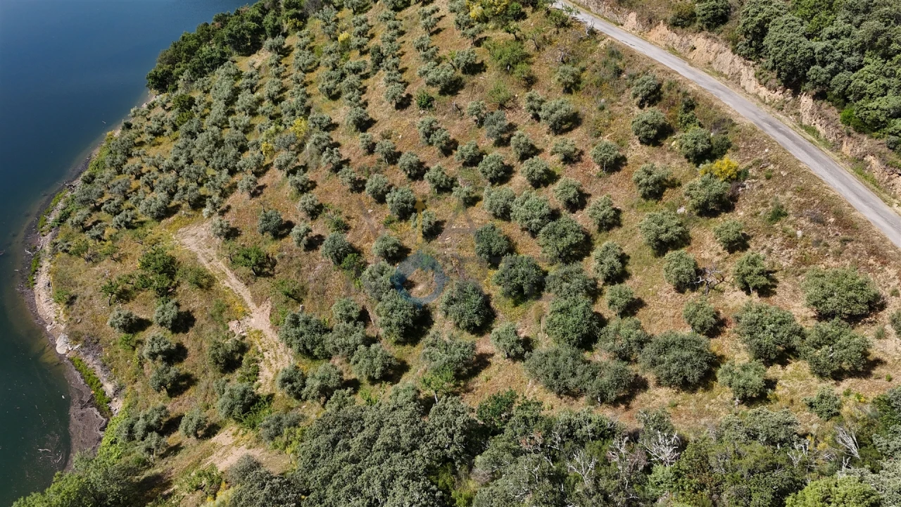Terreno Agricola ou Rústico para Venda em Vilar Chão Foto 6