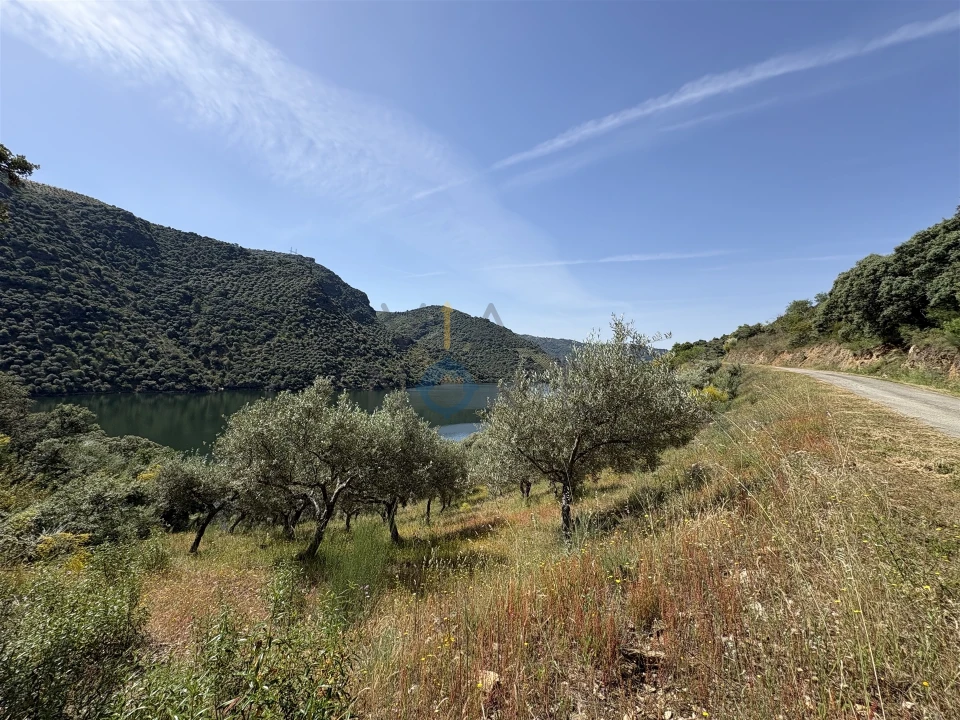 Terreno Agricola ou Rústico para Venda em Vilar Chão Foto 20