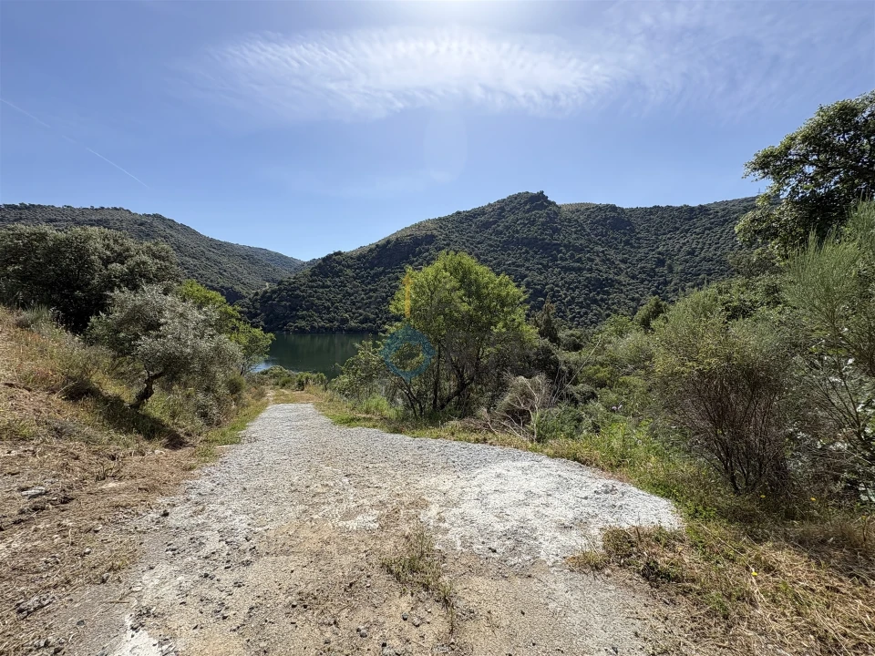Terreno Agricola ou Rústico para Venda em Vilar Chão Foto 16