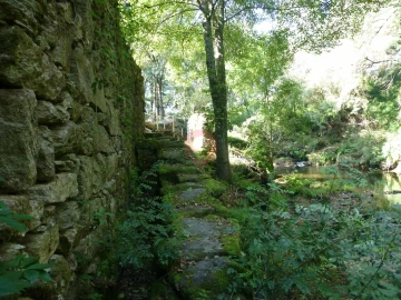 Quinta para Venda em Ceivães e Badim