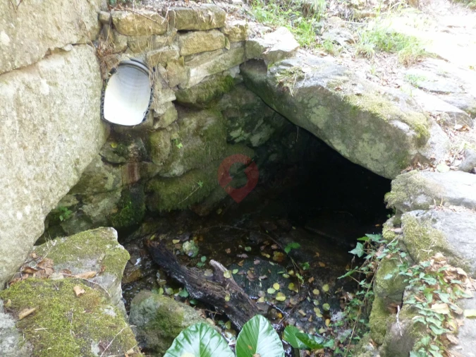 Quinta para Venda em Ceivães e Badim Foto 11