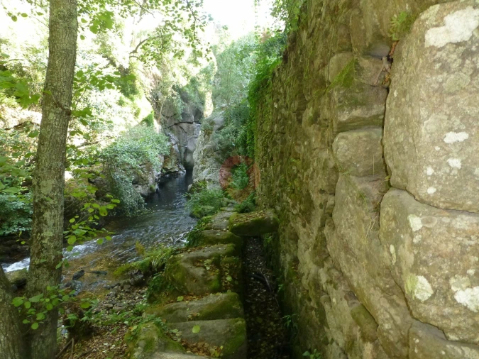 Quinta para Venda em Ceivães e Badim Foto 7