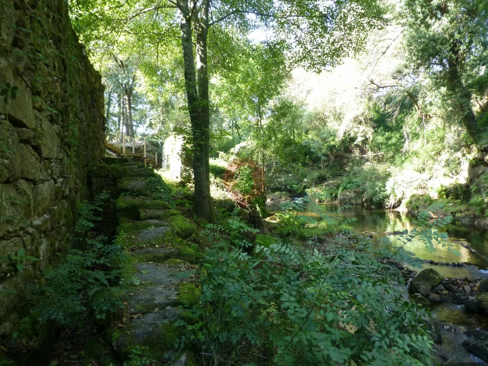 Quinta para Venda em Ceivães e Badim Foto 8