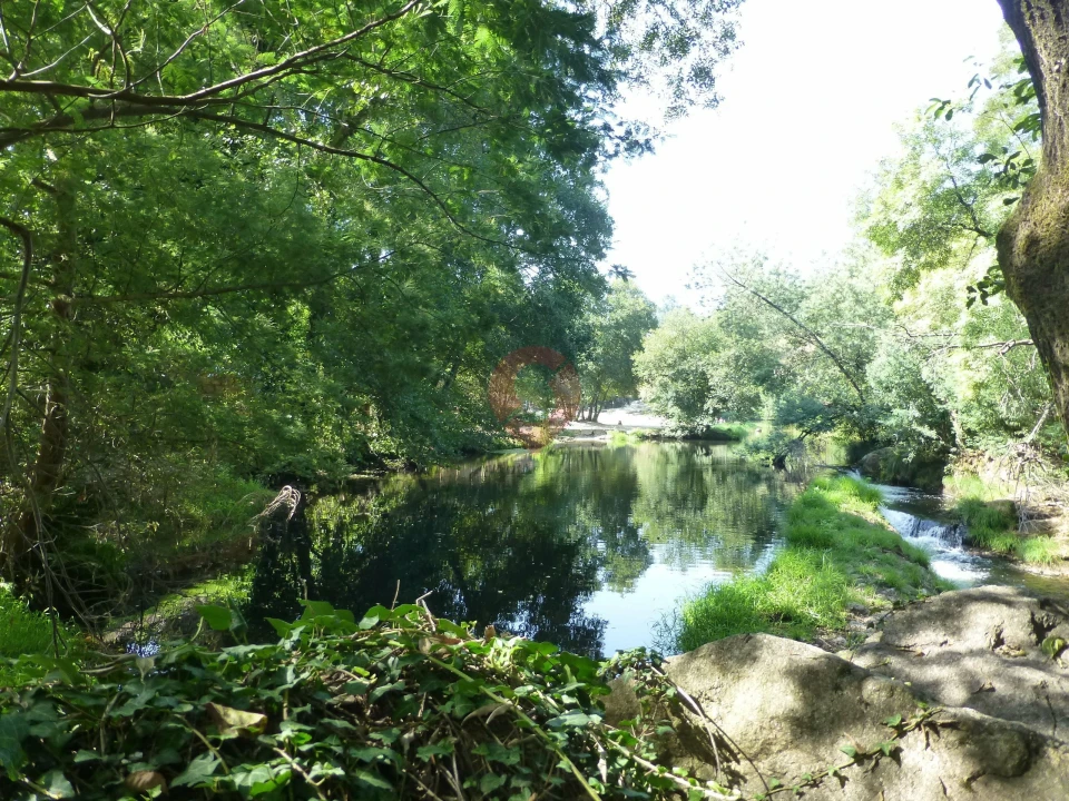 Quinta para Venda em Ceivães e Badim Foto 3