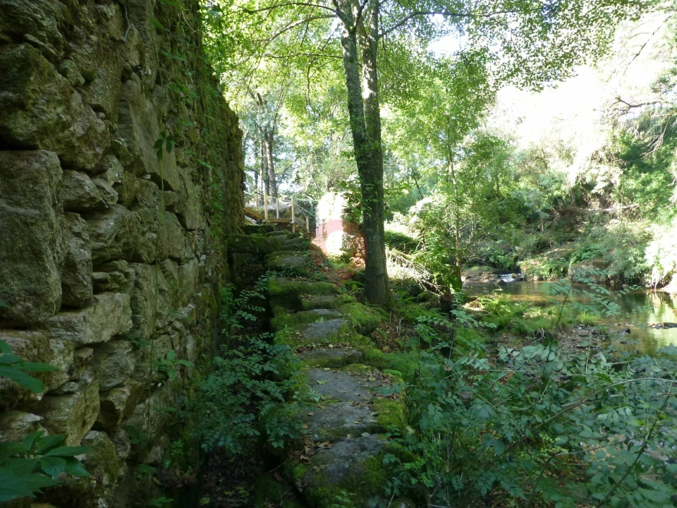 Quinta para Venda em Ceivães e Badim Foto 6