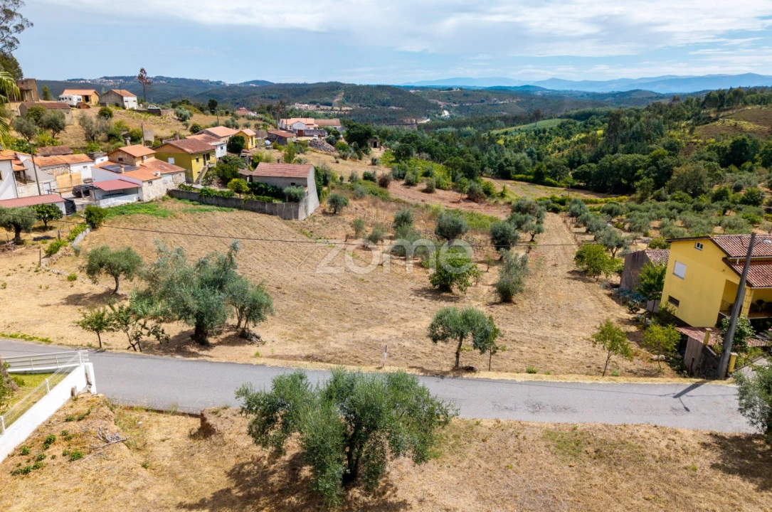 Terreno para Venda em Lavegadas Foto 9
