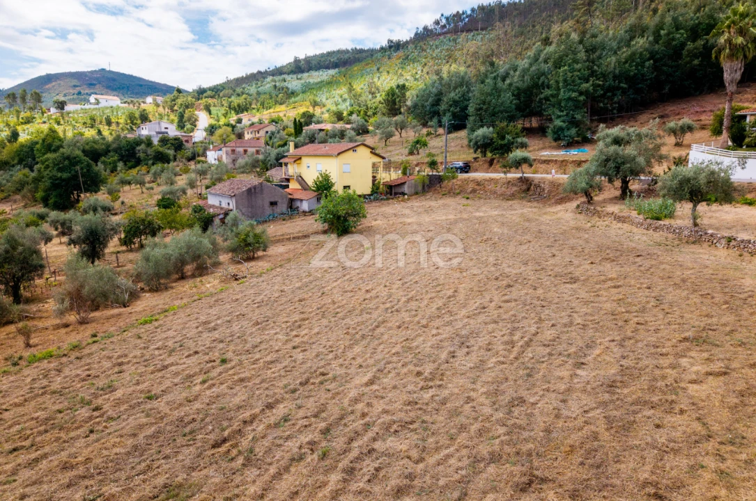 Terreno para Venda em Lavegadas Foto 10