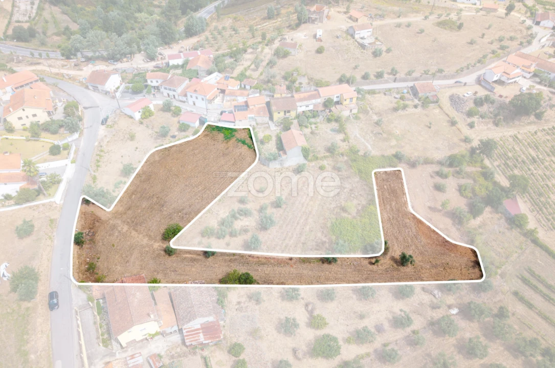 Terreno para Venda em Lavegadas Foto 2