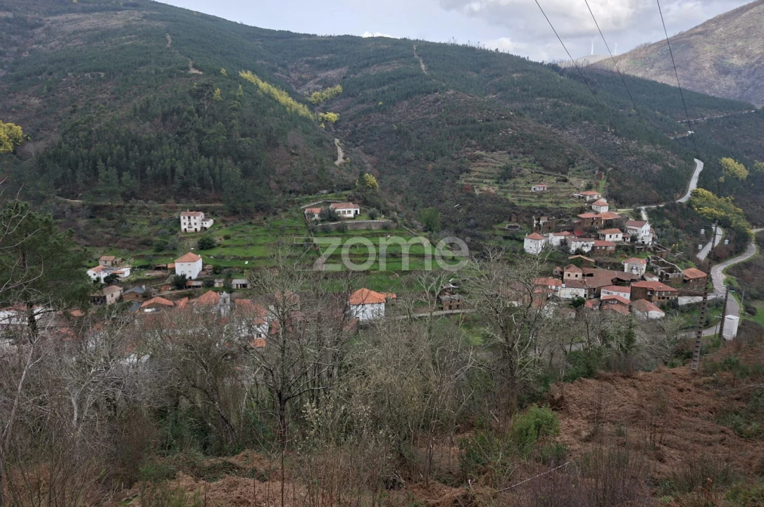 Moradia T3 para Venda em Cepos e Teixeira Foto 4