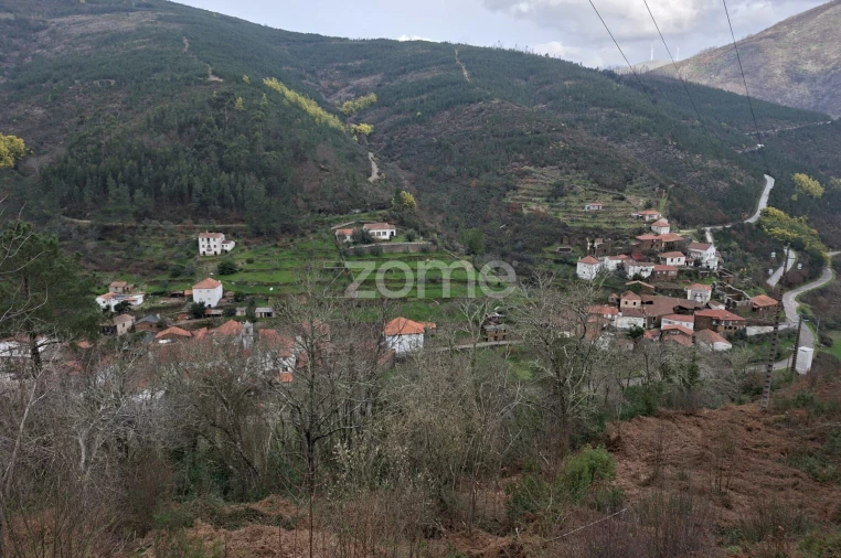 Moradia T3 para Venda em Cepos e Teixeira Foto 4