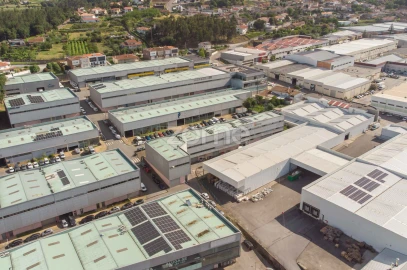 Terreno Comércio / Armazém para Venda em Sequeira