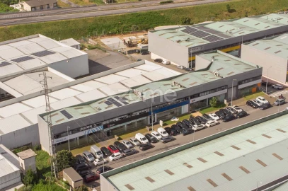 Terreno Comércio / Armazém para Venda em Sequeira