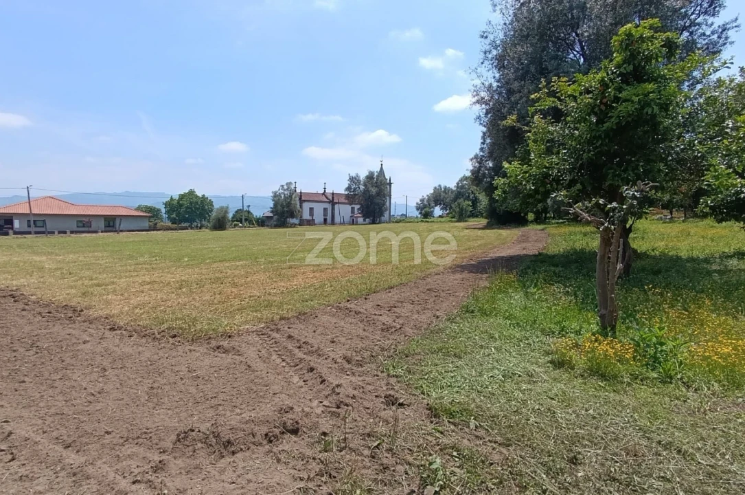 Terreno para Venda em Dornelas Foto 3