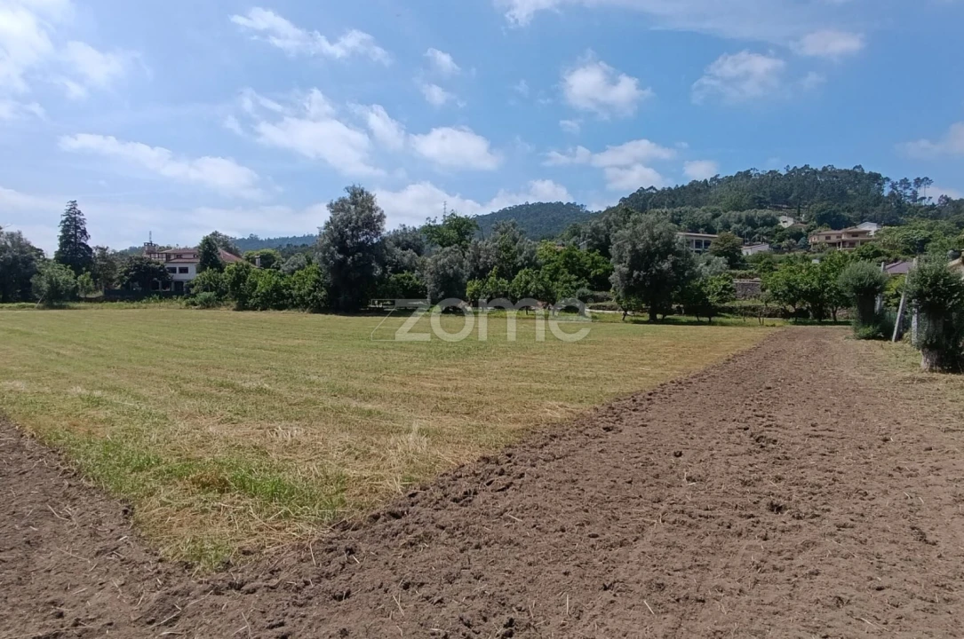 Terreno para Venda em Dornelas Foto 4