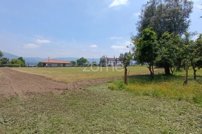 Terreno para Venda em Dornelas