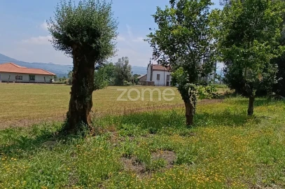 Terreno para Venda em Dornelas