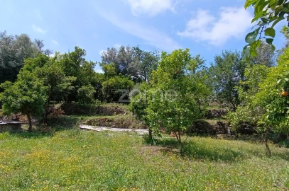 Terreno para Venda em Dornelas