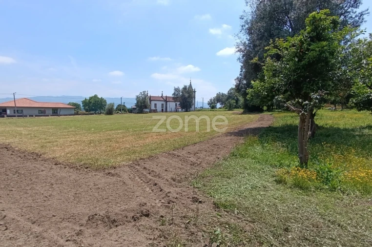 Terreno para Venda em Dornelas Foto 3