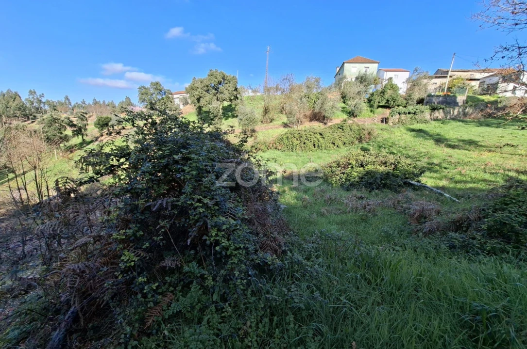 Quinta T7 para Venda em Pombeiro da Beira Foto 10