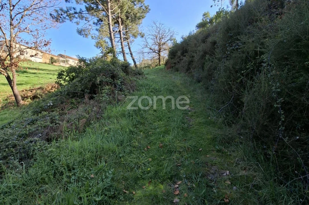 Quinta T7 para Venda em Pombeiro da Beira Foto 8
