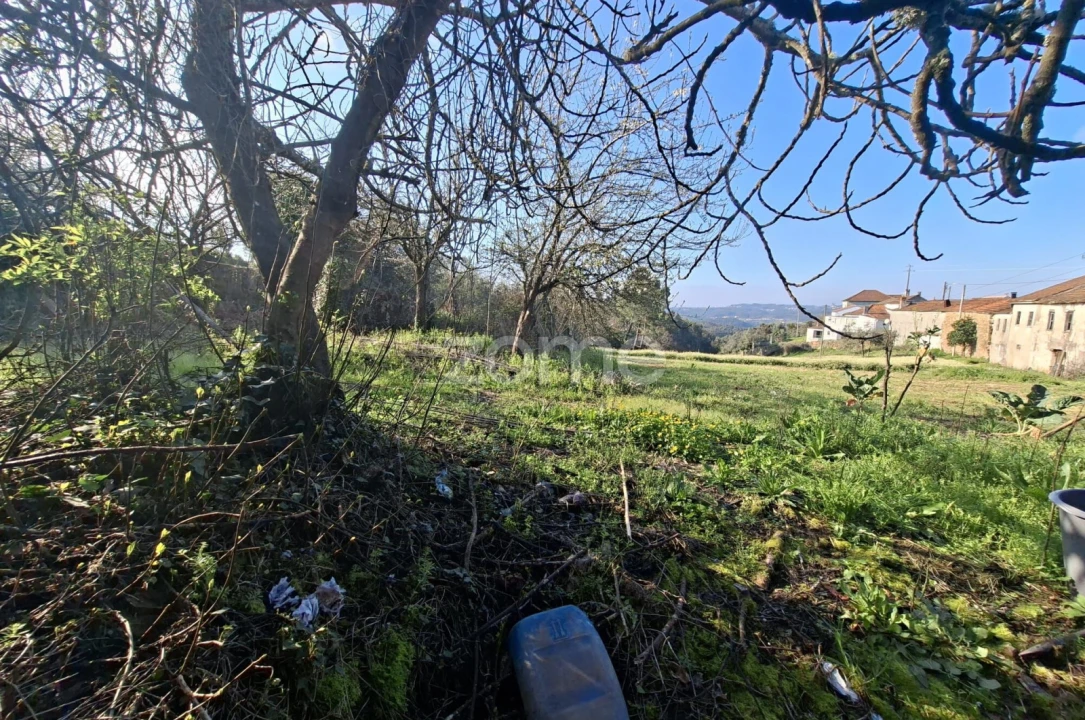 Quinta T7 para Venda em Pombeiro da Beira Foto 5