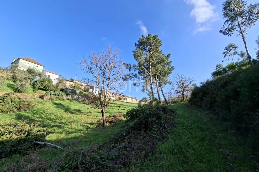 Quinta T7 para Venda em Pombeiro da Beira Foto 7