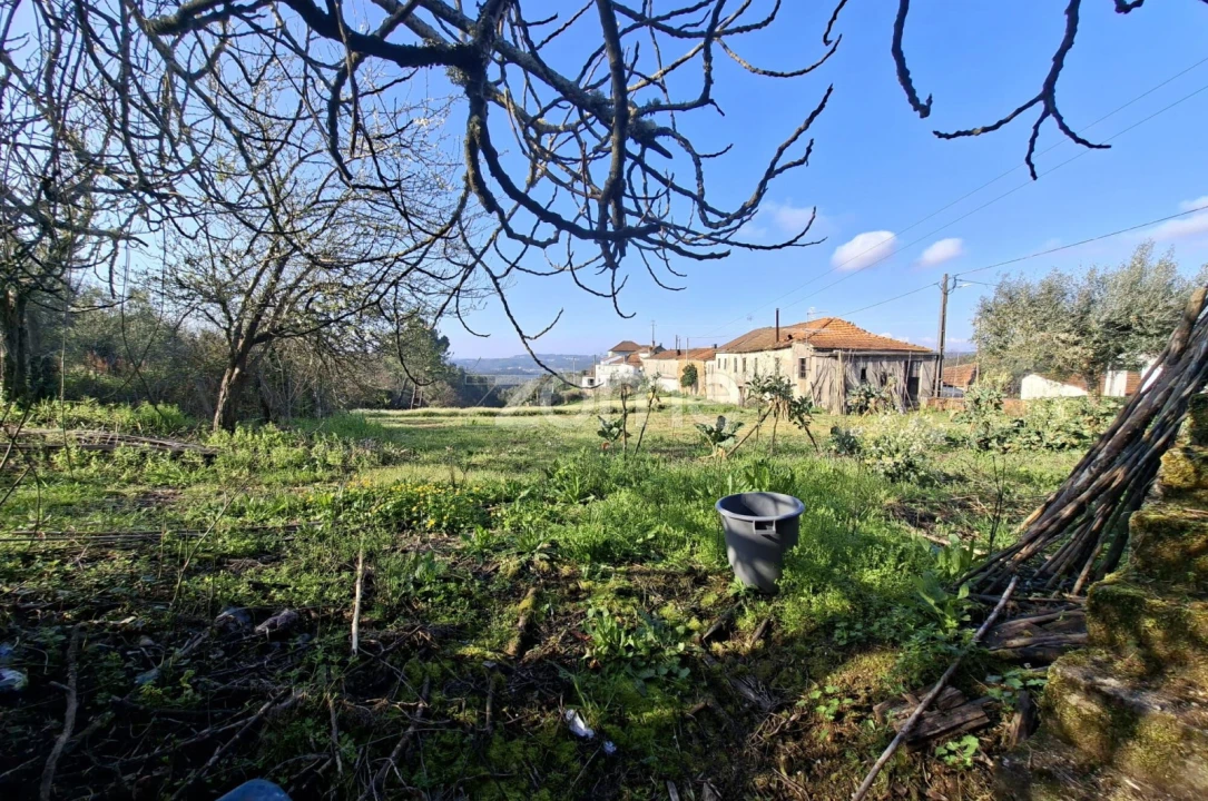 Quinta T7 para Venda em Pombeiro da Beira Foto 4