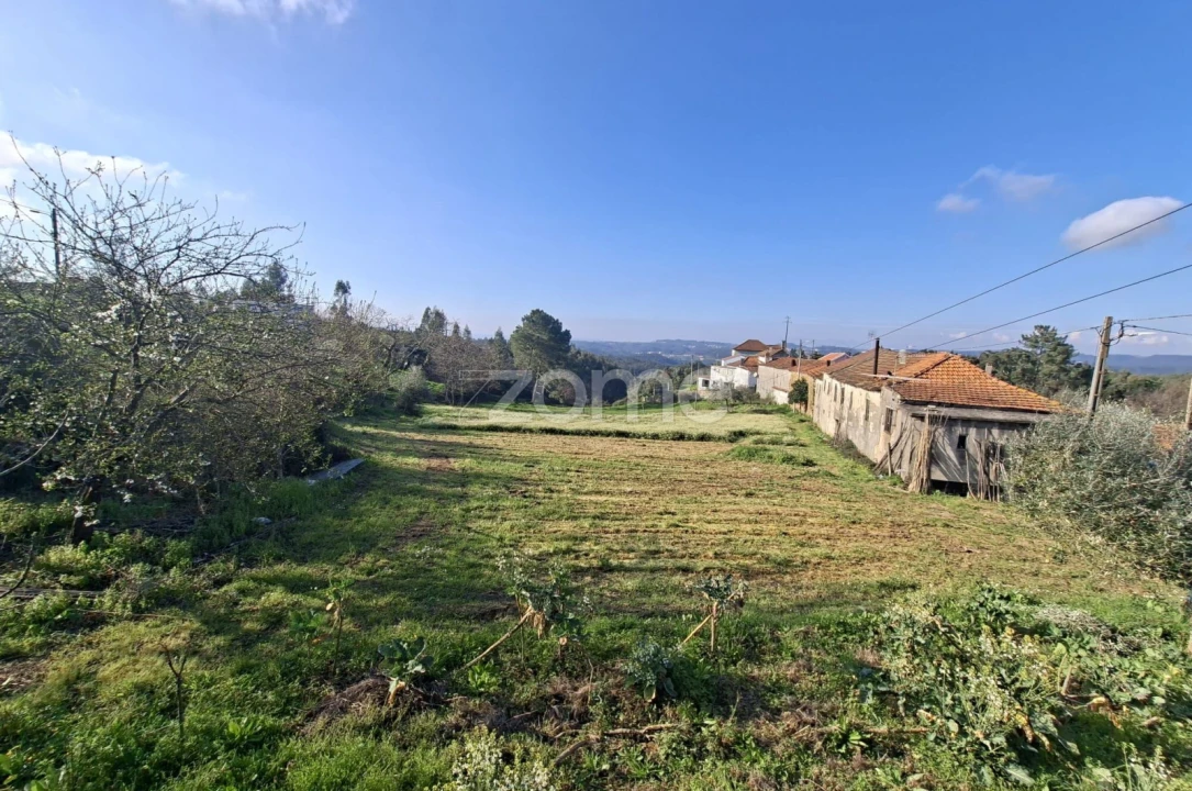 Quinta T7 para Venda em Pombeiro da Beira Foto 3