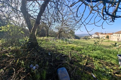 Quinta T7 para Venda em Pombeiro da Beira