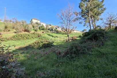 Quinta T7 para Venda em Pombeiro da Beira