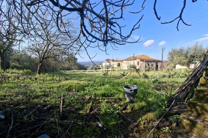 Quinta T7 para Venda em Pombeiro da Beira