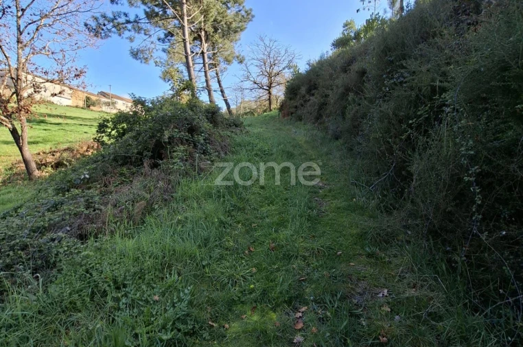 Quinta T7 para Venda em Pombeiro da Beira Foto 8