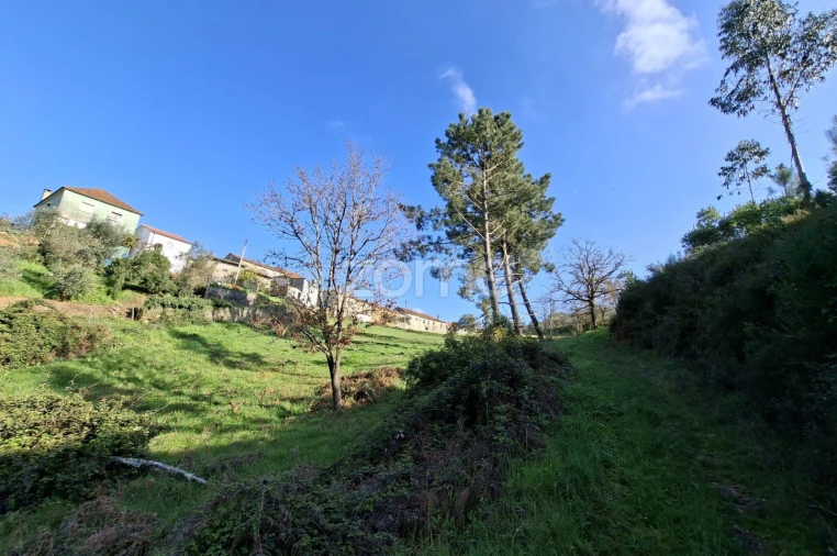 Quinta T7 para Venda em Pombeiro da Beira Foto 7