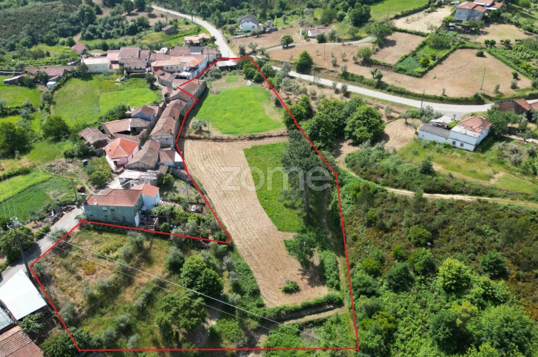 Quinta T7 para Venda em Pombeiro da Beira Foto 14