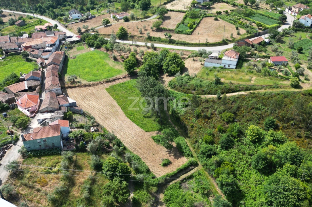 Quinta T7 para Venda em Pombeiro da Beira Foto 13