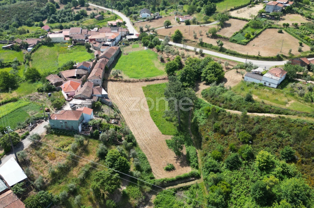 Quinta T7 para Venda em Pombeiro da Beira Foto 11