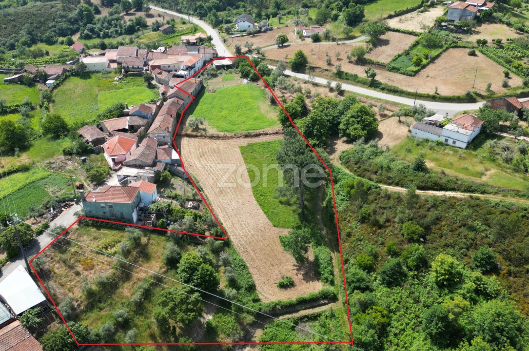 Quinta T7 para Venda em Pombeiro da Beira Foto 14