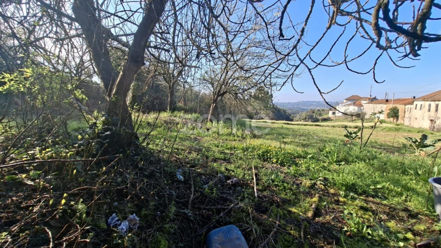 Quinta T7 para Venda em Pombeiro da Beira