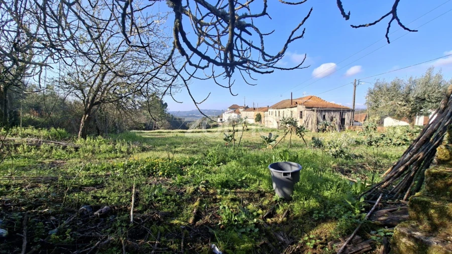 Quinta T7 para Venda em Pombeiro da Beira
