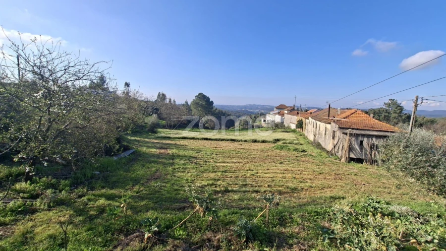 Quinta T7 para Venda em Pombeiro da Beira