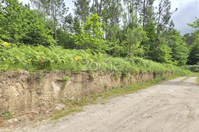 Terreno para Venda em Fiscal